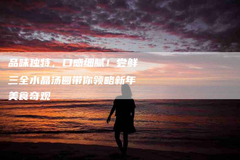 品味独特，口感细腻！尝鲜三全水晶汤圆带你领略新年美食奇观