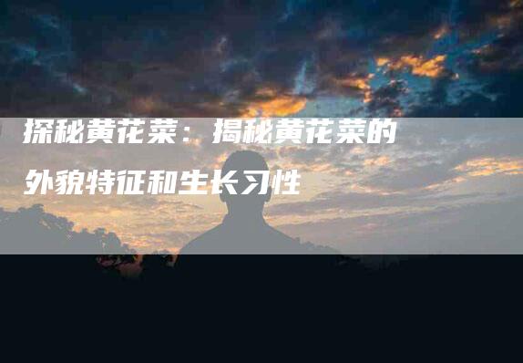 探秘黄花菜：揭秘黄花菜的外貌特征和生长习性