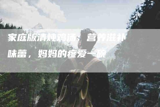 家庭版清炖鸡汤：营养滋补味蕾，妈妈的疼爱一碗