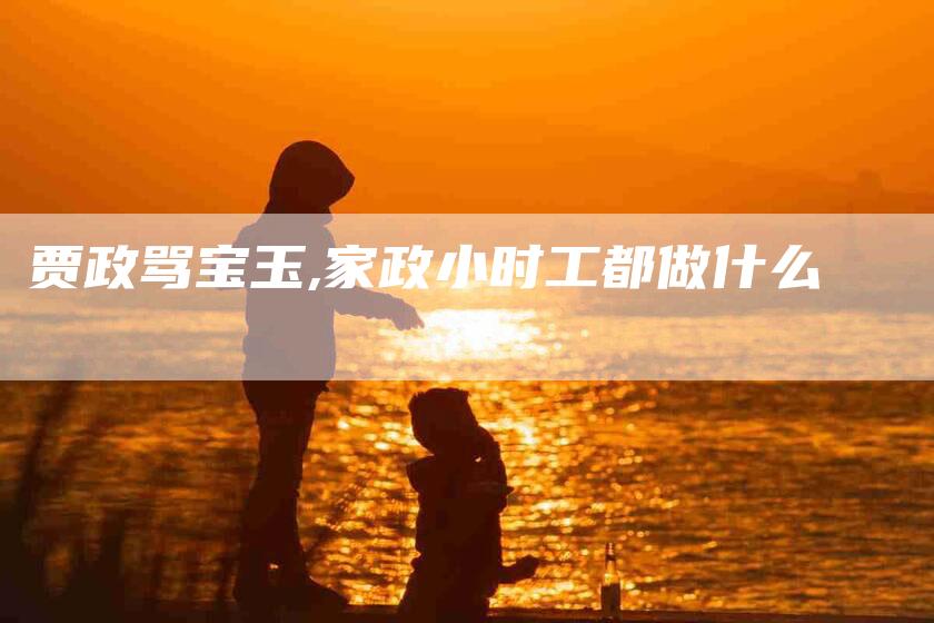 贾政骂宝玉,家政小时工都做什么