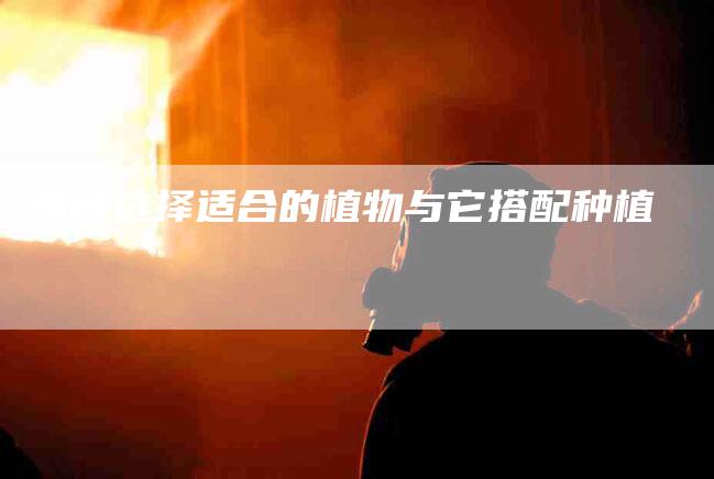如何选择适合的植物与它搭配种植-家政服务网