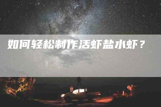 如何轻松制作活虾盐水虾？
