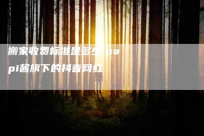 搬家收费标准是多少,papi酱旗下的抖音网红-家政服务网