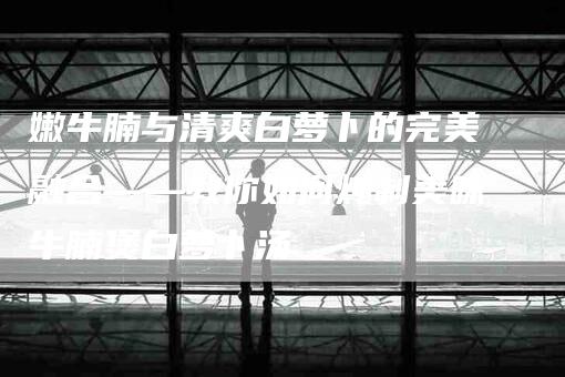 嫩牛腩与清爽白萝卜的完美融合——教你如何炖制美味牛腩煲白萝卜汤-家政服务网