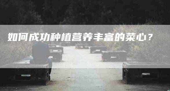 如何成功种植营养丰富的菜心？-家政服务网