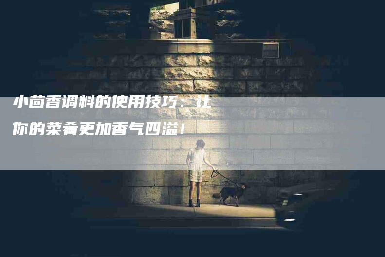 小茴香调料的使用技巧：让你的菜肴更加香气四溢！-家政服务网