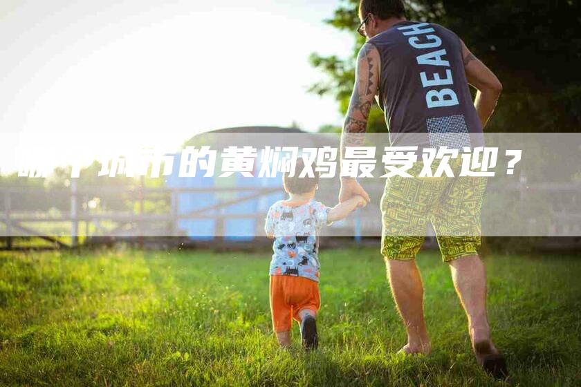 哪个城市的黄焖鸡最受欢迎？