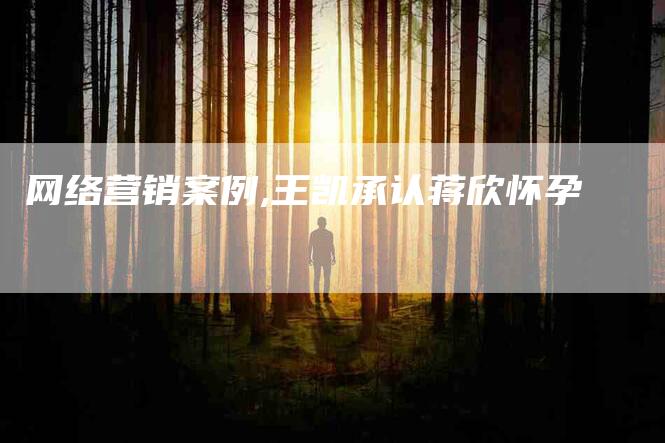 网络营销案例,王凯承认蒋欣怀孕