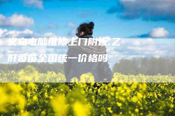 义乌电脑维修上门附近,乙肝疫苗全国统一价格吗-家政服务网