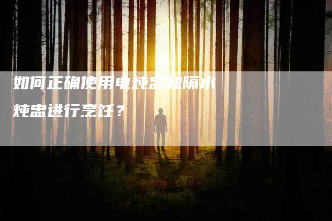 如何正确使用电炖盅和隔水炖盅进行烹饪？-家政服务网