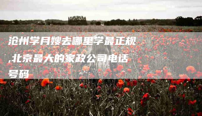 沧州学月嫂去哪里学最正规,北京最大的家政公司电话号码-家政服务网