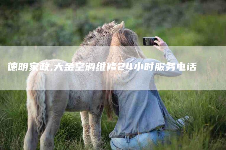 德明家政,大金空调维修24小时服务电话-家政服务网
