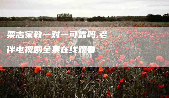 栗志家教一对一可靠吗,老伴电视剧全集在线观看-家政服务网