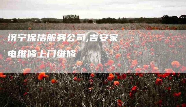 济宁保洁服务公司,吉安家电维修上门维修-家政服务网