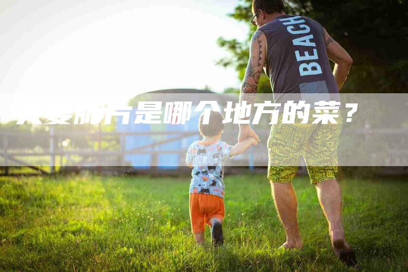 夫妻肺片是哪个地方的菜？-家政服务网
