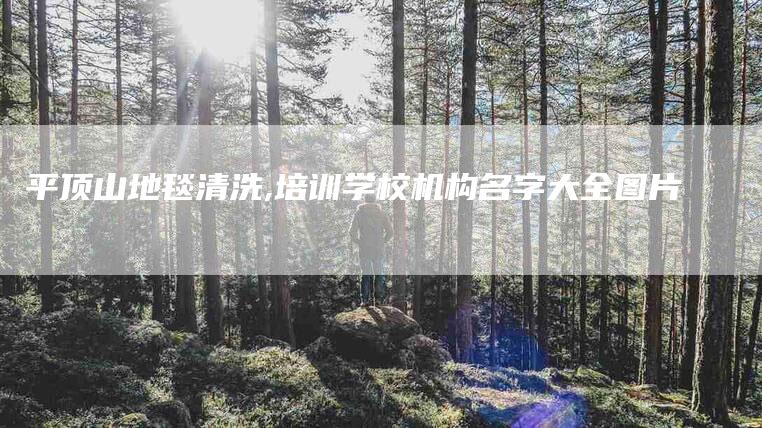 平顶山地毯清洗,培训学校机构名字大全图片-家政服务网
