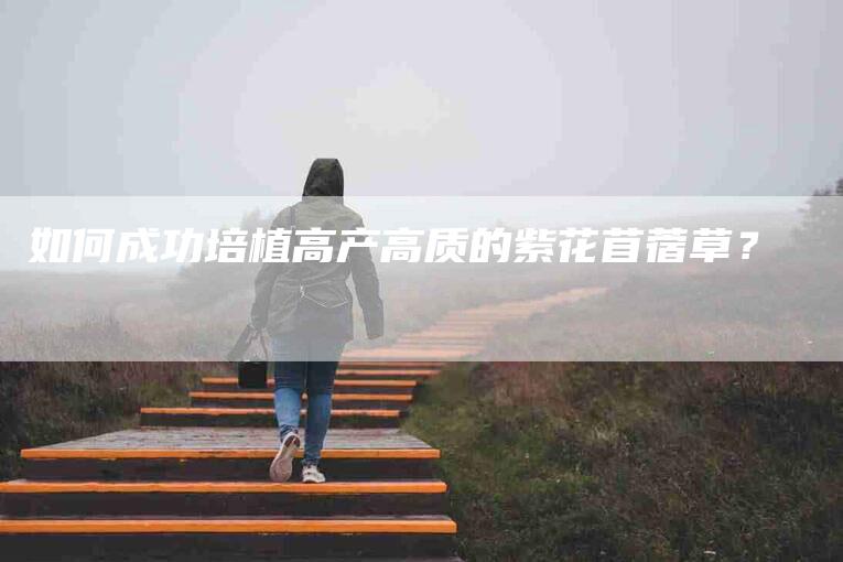 如何成功培植高产高质的紫花苜蓿草？-家政服务网