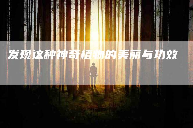发现这种神奇植物的美丽与功效-家政服务网