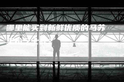 哪里能买到新鲜优质的马苏里拉芝士碎？-家政服务网
