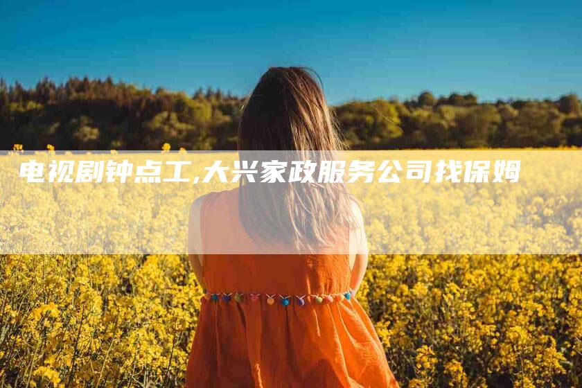 电视剧钟点工,大兴家政服务公司找保姆-家政服务网