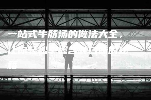 一站式牛筋汤的做法大全，让你轻松掌握各种口味的秘籍-家政服务网