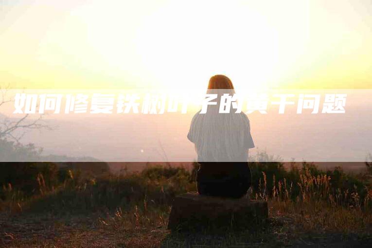 如何修复铁树叶子的黄干问题-家政服务网