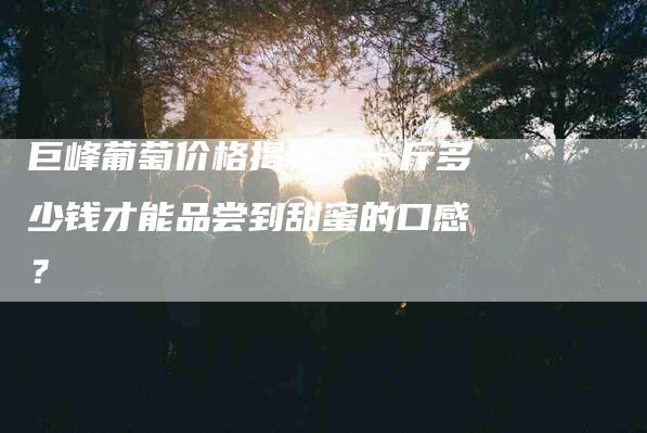 巨峰葡萄价格揭秘：一斤多少钱才能品尝到甜蜜的口感？