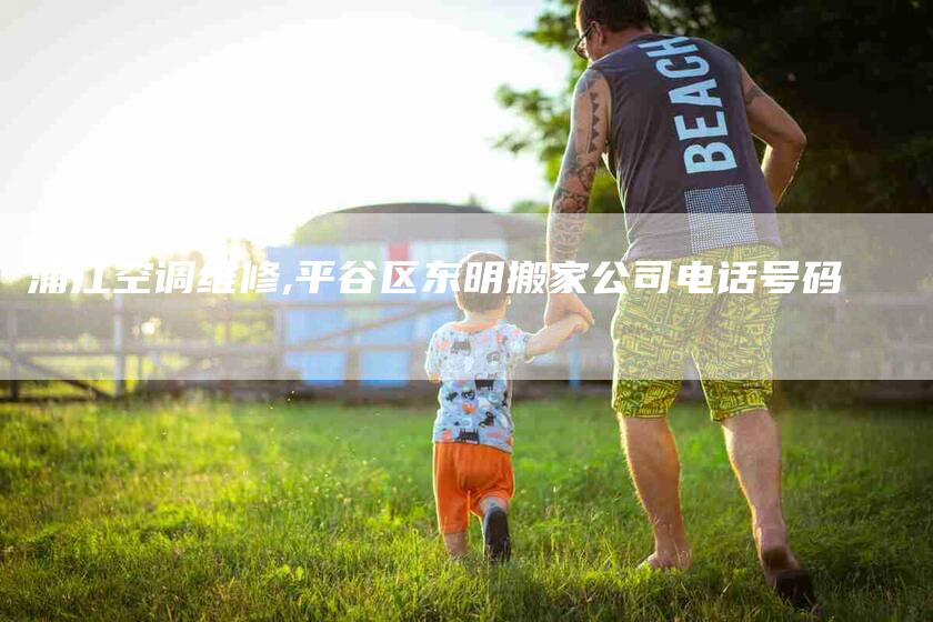 浦江空调维修,平谷区东明搬家公司电话号码-家政服务网