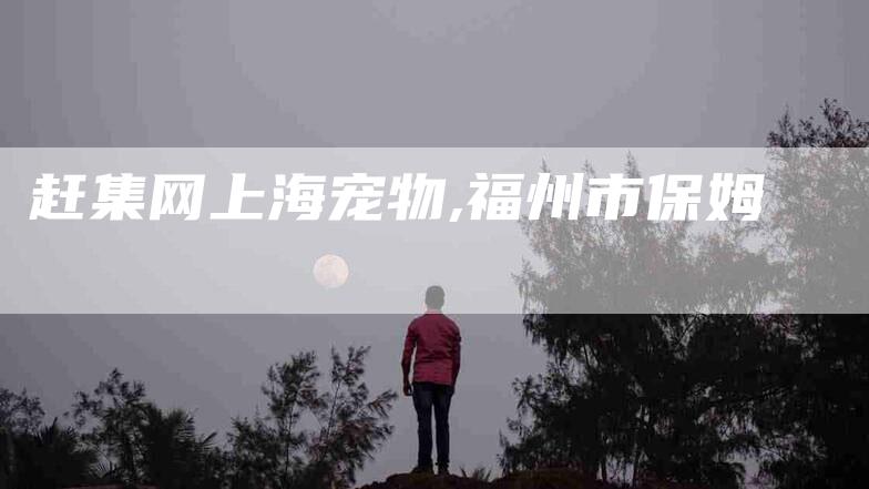 赶集网上海宠物,福州市保姆-家政服务网
