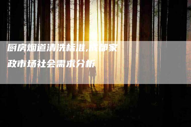 厨房烟道清洗标准,成都家政市场社会需求分析-家政服务网