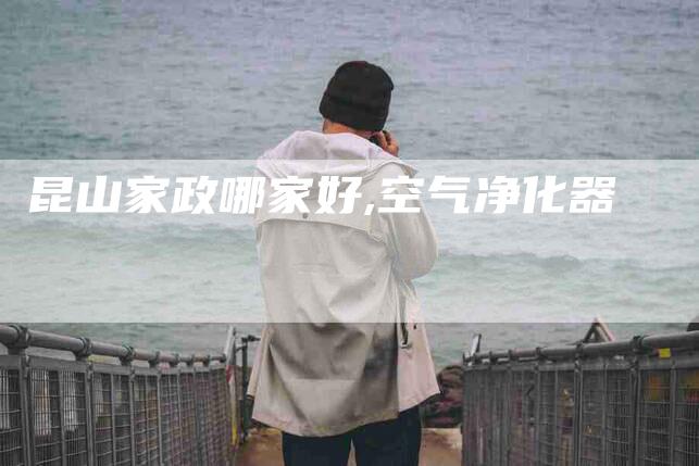 昆山家政哪家好,空气净化器-家政服务网