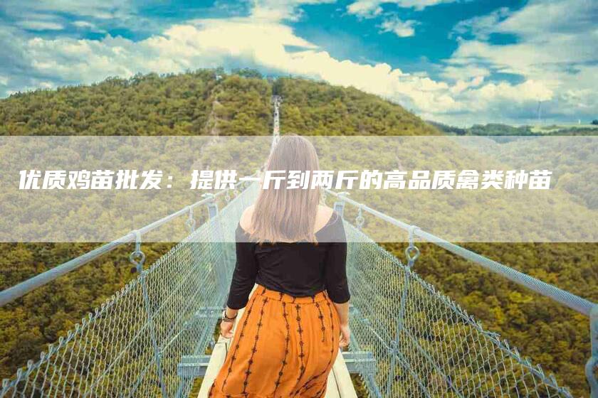 优质鸡苗批发：提供一斤到两斤的高品质禽类种苗-家政服务网