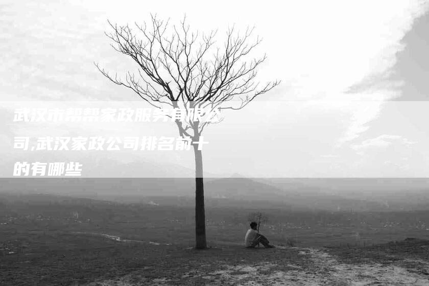 武汉市帮帮家政服务有限公司,武汉家政公司排名前十的有哪些-家政服务网