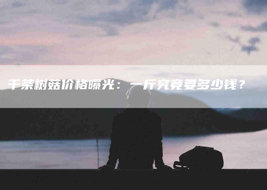 干茶树菇价格曝光：一斤究竟要多少钱？