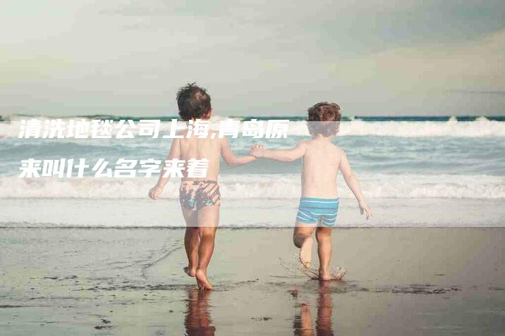 清洗地毯公司上海,青岛原来叫什么名字来着-家政服务网