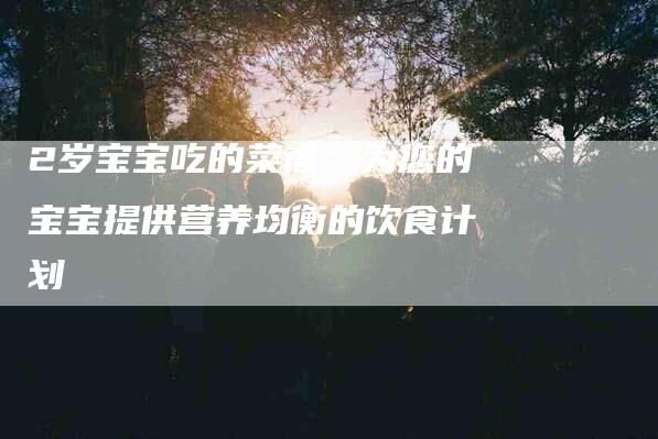 2岁宝宝吃的菜谱：为您的宝宝提供营养均衡的饮食计划-家政服务网