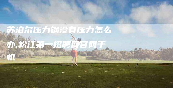 苏泊尔压力锅没有压力怎么办,松江第一招聘网官网手机-家政服务网