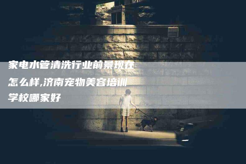 家电水管清洗行业前景现在怎么样,济南宠物美容培训学校哪家好-家政服务网