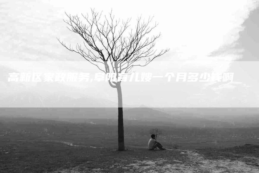 高新区家政服务,阜阳育儿嫂一个月多少钱啊-家政服务网