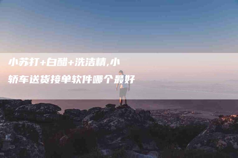 小苏打+白醋+洗洁精,小轿车送货接单软件哪个最好-家政服务网