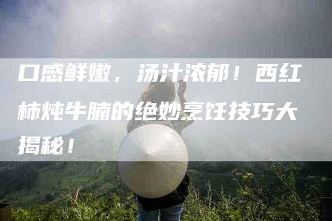 口感鲜嫩，汤汁浓郁！西红柿炖牛腩的绝妙烹饪技巧大揭秘！-家政服务网
