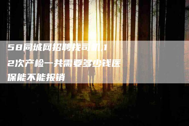 58同城网招聘找司机,12次产检一共需要多少钱医保能不能报销-家政服务网