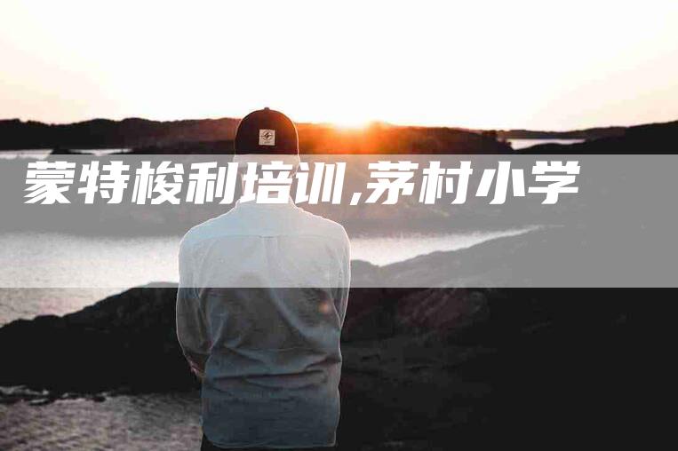 蒙特梭利培训,茅村小学-家政服务网