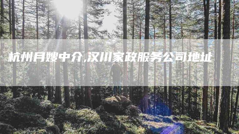 杭州月嫂中介,汉川家政服务公司地址-家政服务网