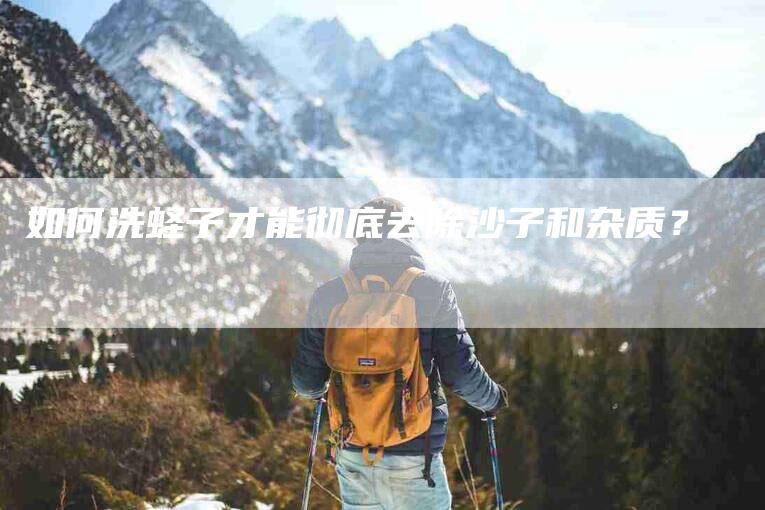如何洗蛏子才能彻底去除沙子和杂质？-家政服务网
