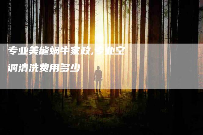 专业美缝蜗牛家政,专业空调清洗费用多少-家政服务网