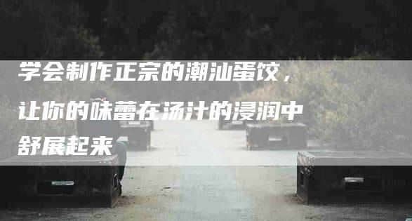 学会制作正宗的潮汕蛋饺，让你的味蕾在汤汁的浸润中舒展起来-家政服务网