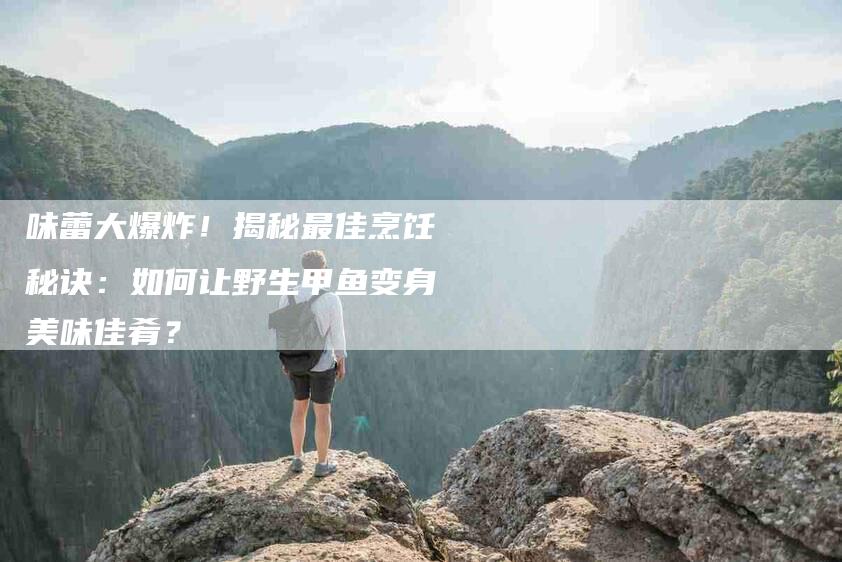 味蕾大爆炸！揭秘最佳烹饪秘诀：如何让野生甲鱼变身美味佳肴？-家政服务网