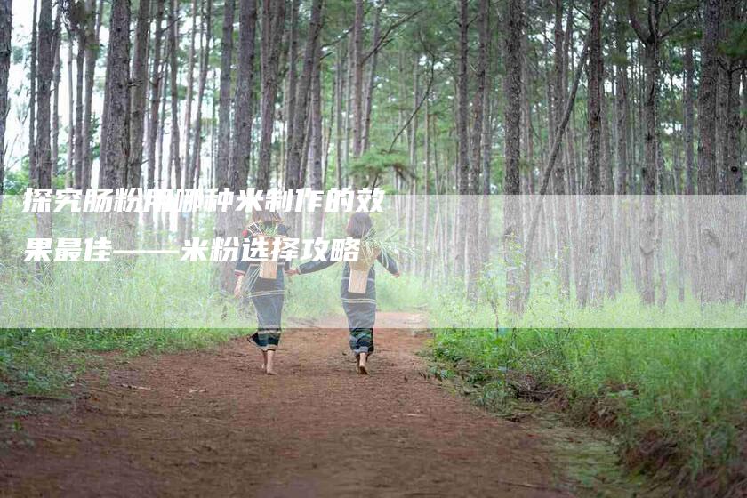 探究肠粉用哪种米制作的效果最佳——米粉选择攻略-家政服务网