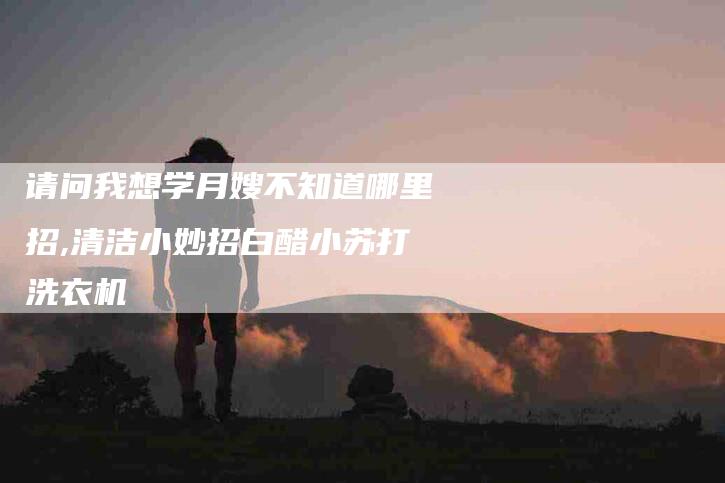 请问我想学月嫂不知道哪里招,清洁小妙招白醋小苏打洗衣机-家政服务网